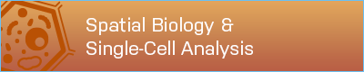 Spatial Biology & Single-Cell Analysis