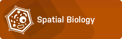 Spatial Biology
