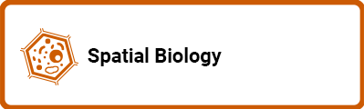 Spatial Biology 